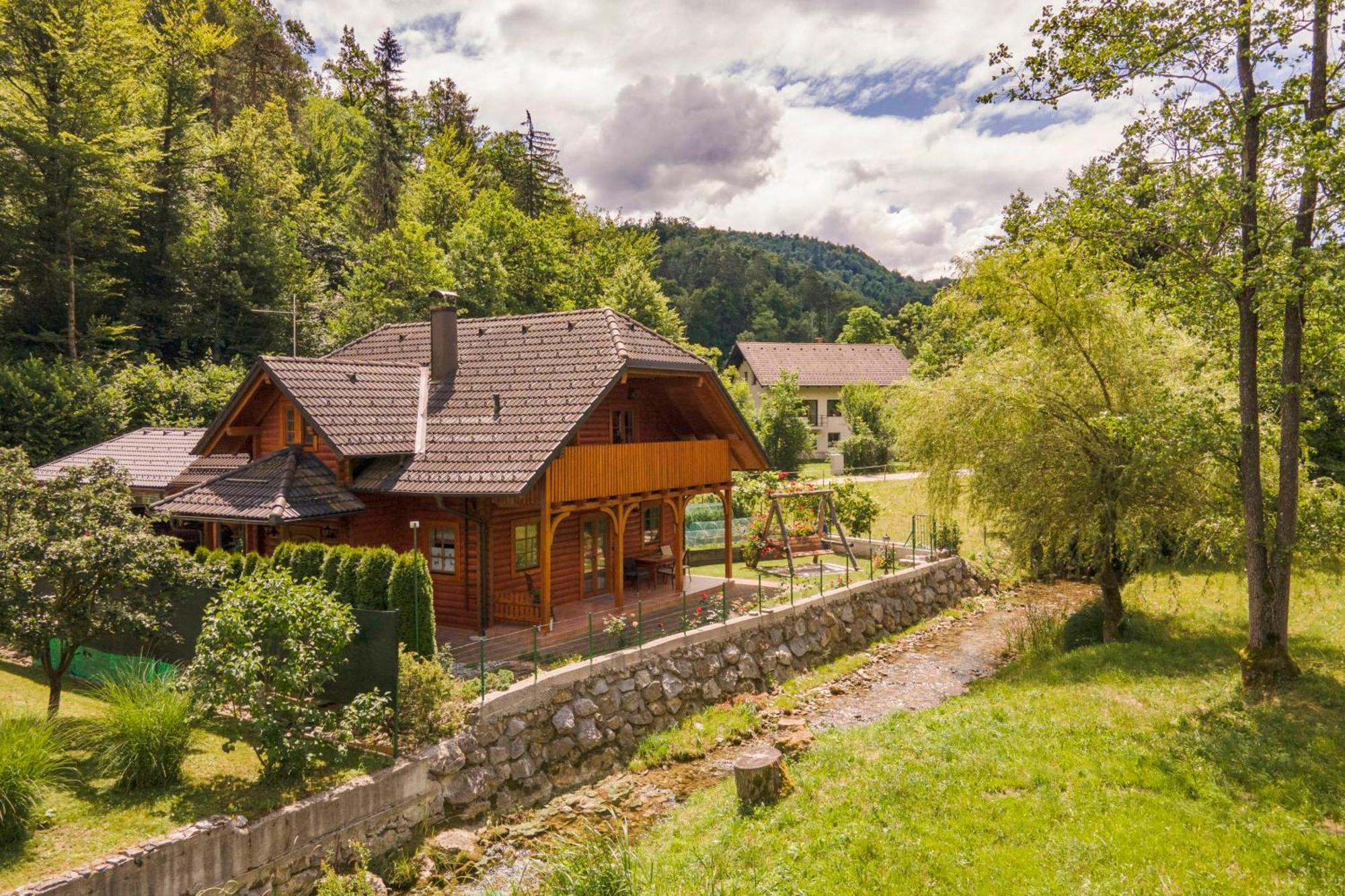 Apartma Metka Medvode Exterior photo