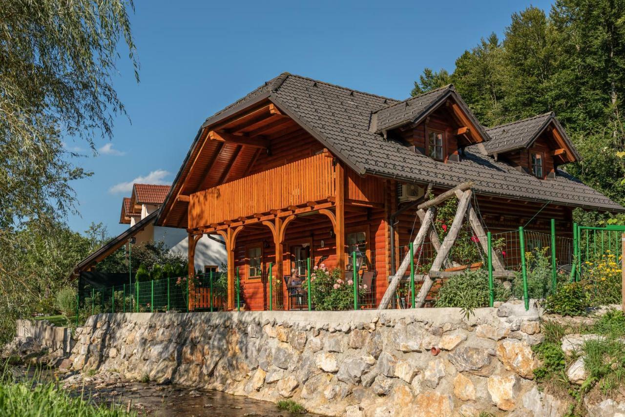 Apartma Metka Medvode Exterior photo